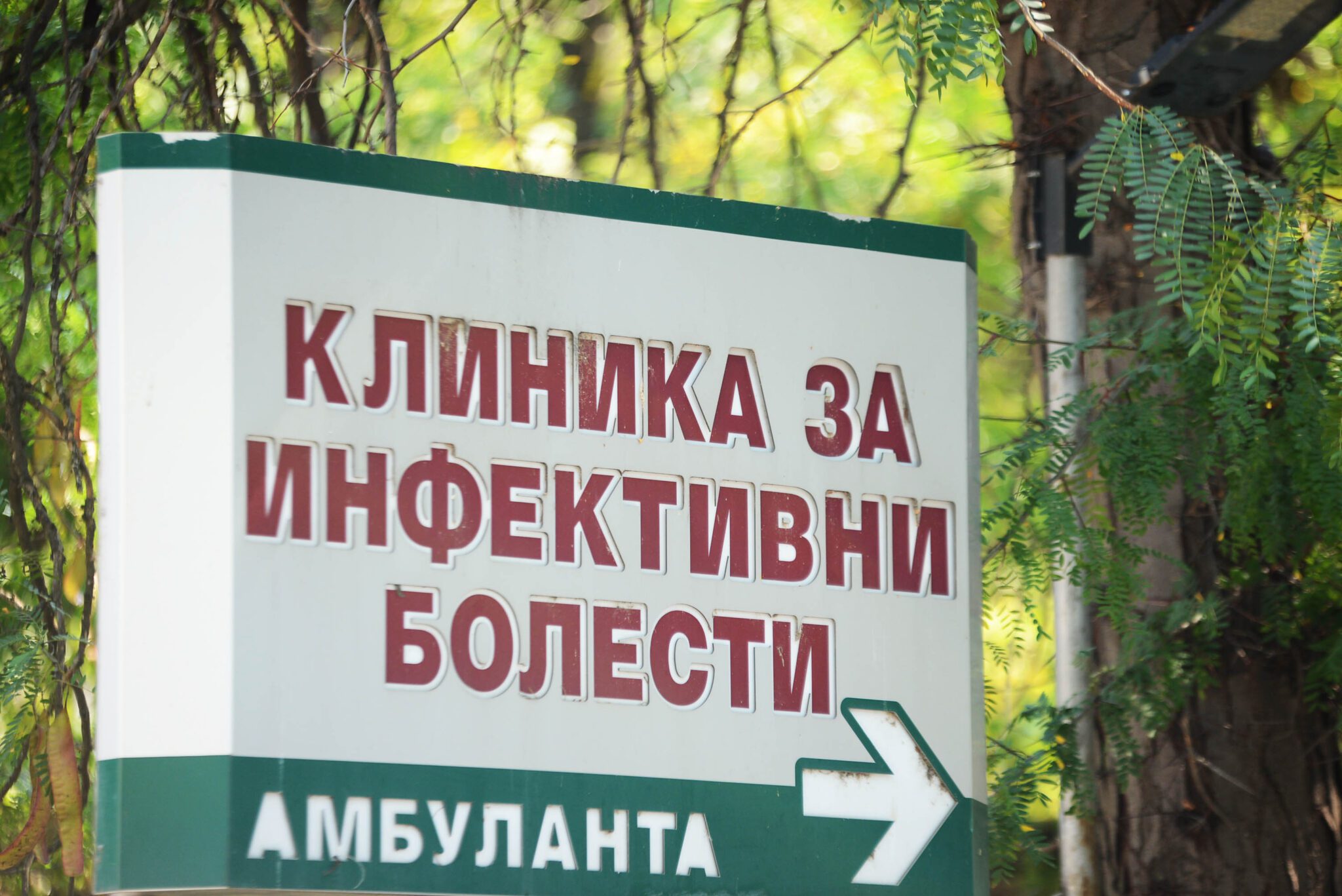 Во Македонија потврдени 43 случаи на западнонилска треска